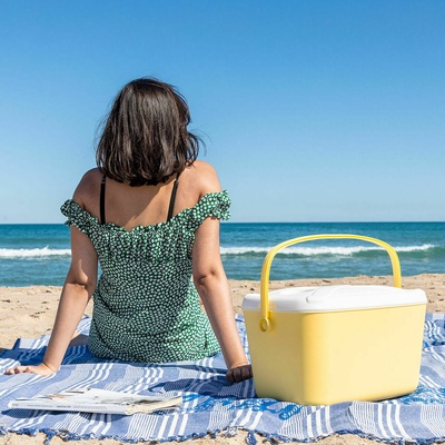 InnovaGoods 15L Portable Hard Cooler Box - Retro Style with Multifunctional Lid