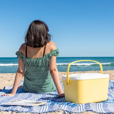 InnovaGoods 15L Portable Hard Cooler Box - Retro Style with Multifunctional Lid