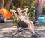 Kamprock Folding Camping Chair with Swing - Automatic Recline & Cup Holder