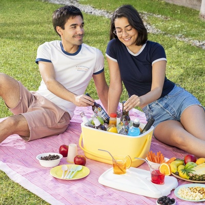 InnovaGoods 15L Portable Hard Cooler Box - Retro Style with Multifunctional Lid