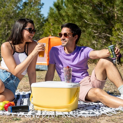 InnovaGoods 15L Portable Hard Cooler Box - Retro Style with Multifunctional Lid