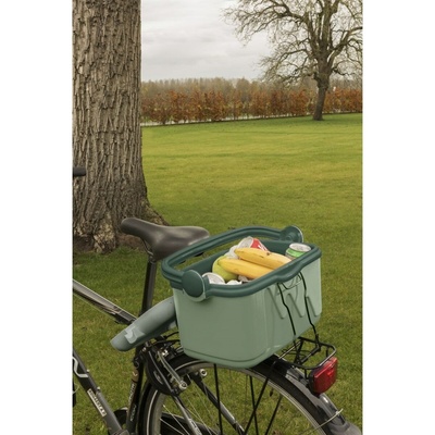 Curver Passive Cooler Box 261196 - 10L Green Insulated Ice Box with Handle for Camping & Picnics